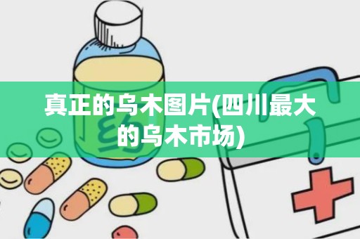 真正的乌木图片(四川最大的乌木市场)