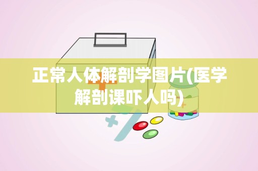 正常人体解剖学图片(医学解剖课吓人吗)