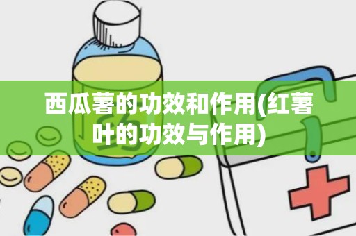 西瓜薯的功效和作用(红薯叶的功效与作用)