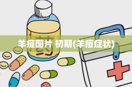 羊痘图片 初期(羊痘症状)