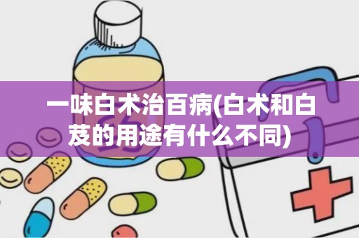 一味白术治百病(白术和白芨的用途有什么不同)