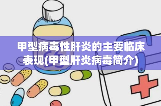 甲型病毒性肝炎的主要临床表现(甲型肝炎病毒简介)